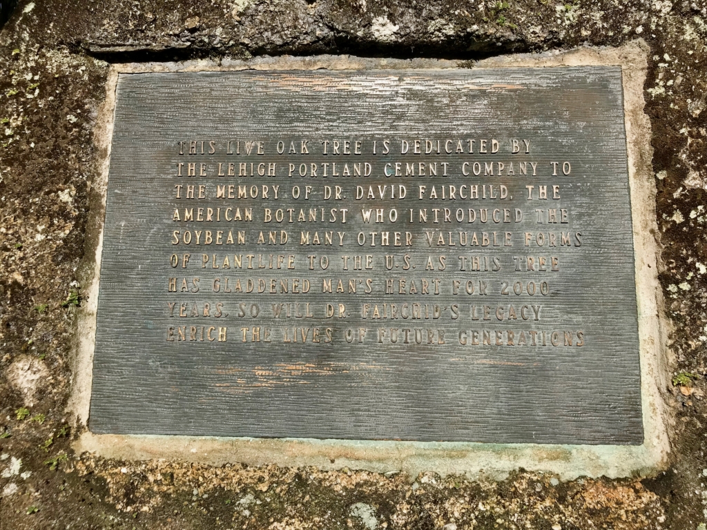 Fairchild Oak plaque