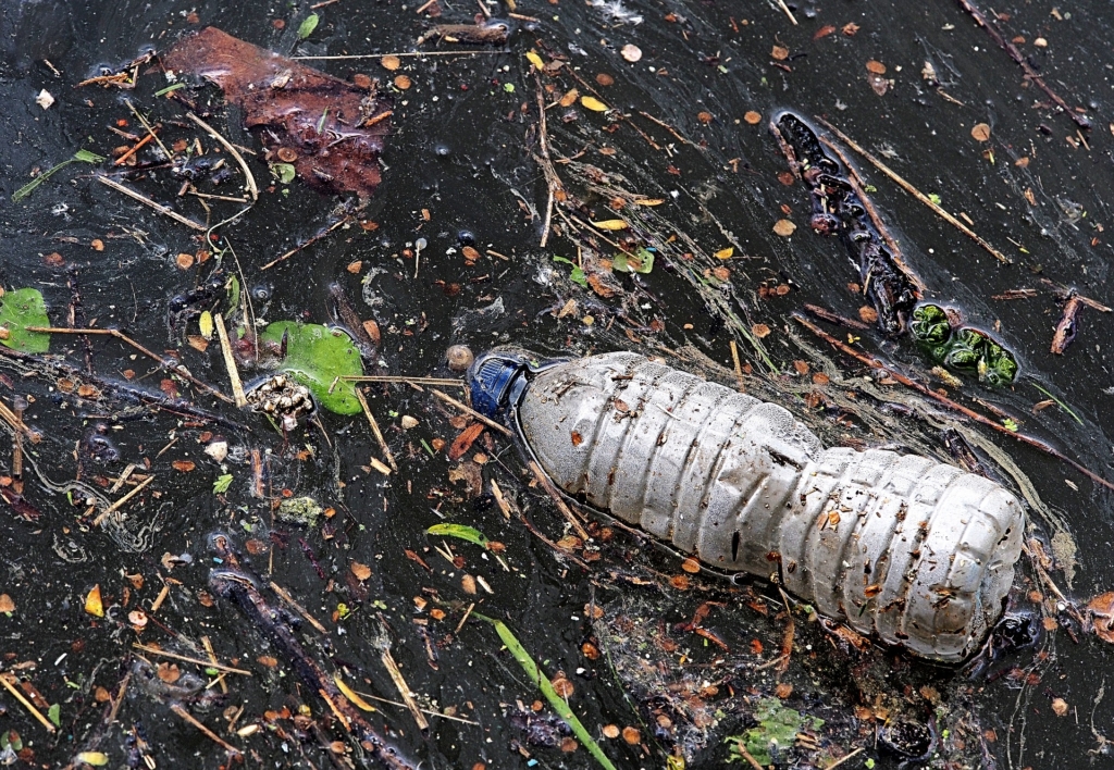 discarded bottle